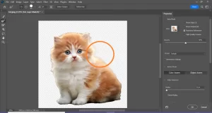 remove fundo da imagem photoshop